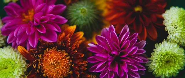 机会很多！杨瀚森G联赛表现：场均14.5分11板3.5助